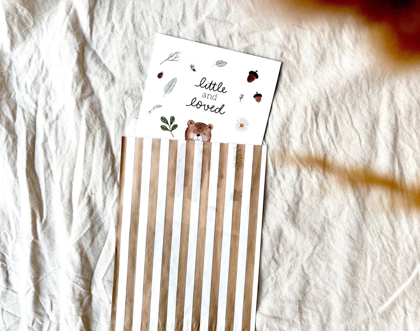 Karte Geburt Bär Wald (Postkarte A6)